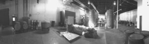 Bearded Iris Interior Pano